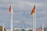 The Australian flag flies on top of Parliament House in Canberra, framed by two rows of orange Sikh flags.