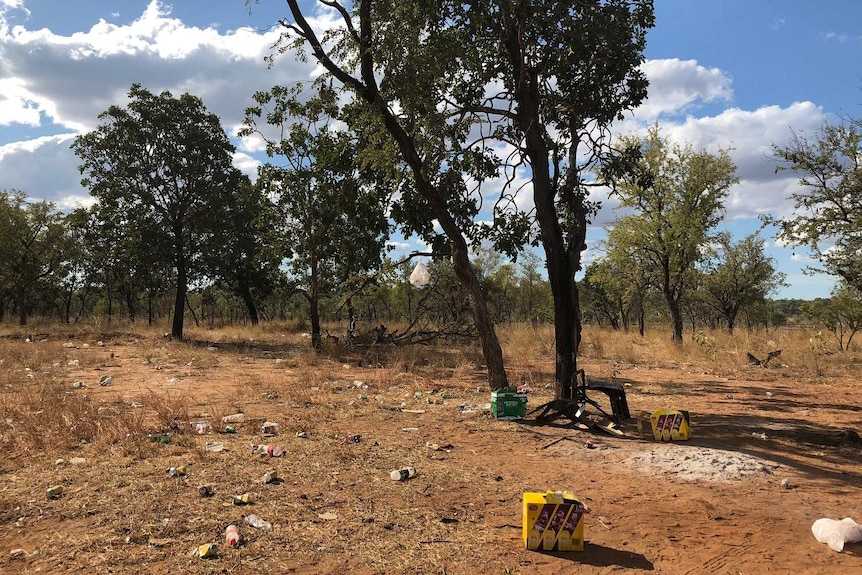 The "family tree" on the outskirts of Doomadgee where people can drink legally.