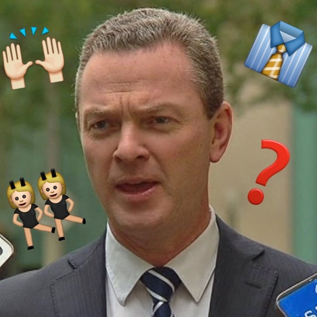 Christopher Pyne reveals favourite Emoji