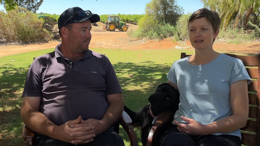 A white couple, Ash and Tash Chabrel, sit in the shade in front of vineyards with their black labrador pawing at them.