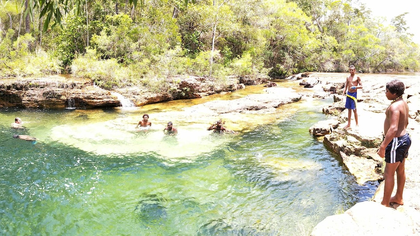 Students swimming in brilliant blue-green waters among bushland at Elliot Falls in Cape York