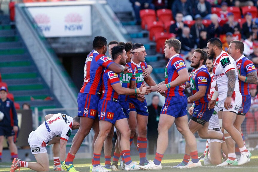 Knights players celebrate a Brock Lamb try.