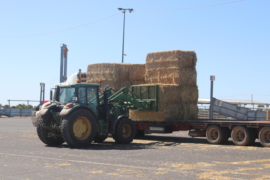 Dozens of hay bales being loaded onto a truck 