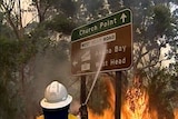 Firefighters battle Sydney blazes