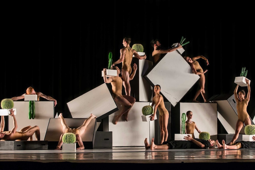 The Sydney Dance Company perform Cacti.
