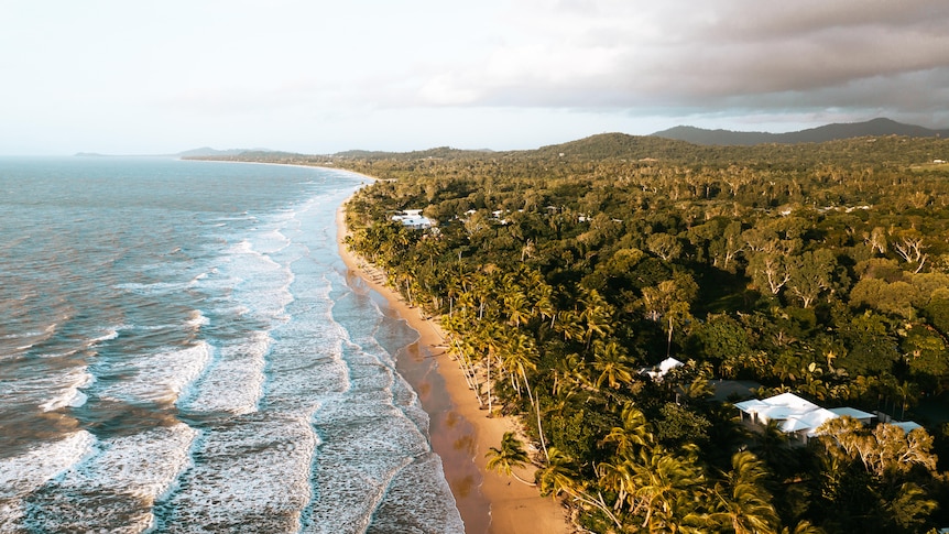 A drone shot of the ocean against a backdrop of rainforest