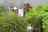 Tributes have been left in bushes for a man who died outside Hobart's main hospital