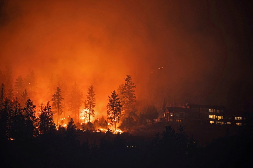The sky is lit up orange as a fire burns near a house and trees.