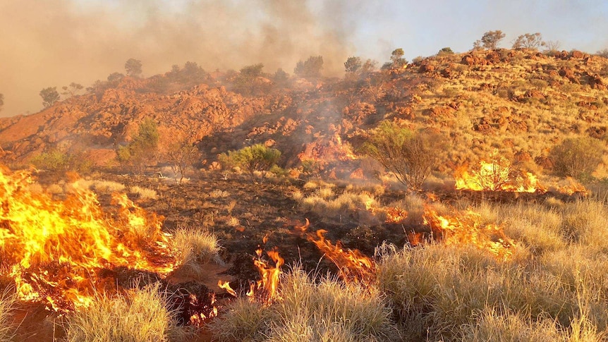 Grassland burns in an outback bushfire.