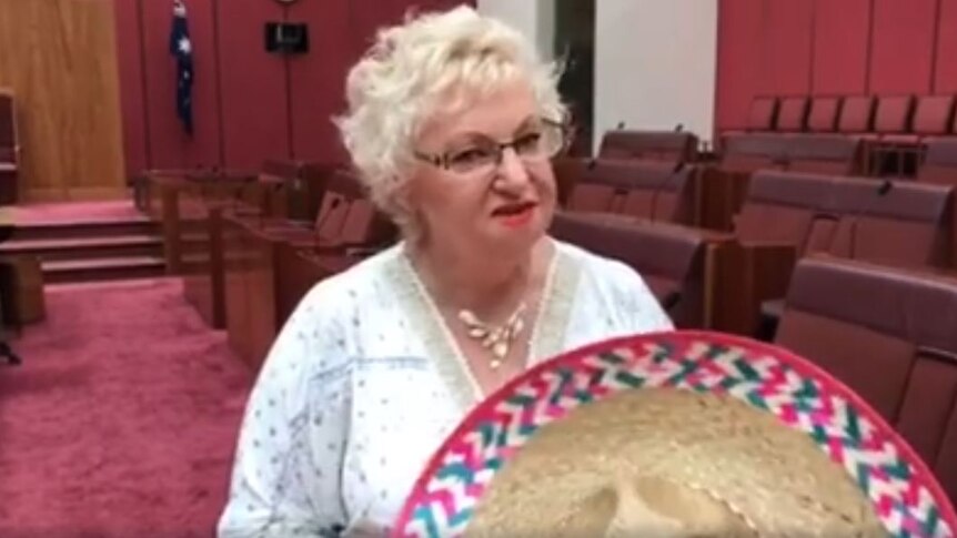 ALP senator Helen Polley posts video talking to a hat