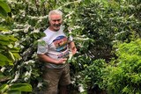 Coffee berry farmer, Tibor Pinci