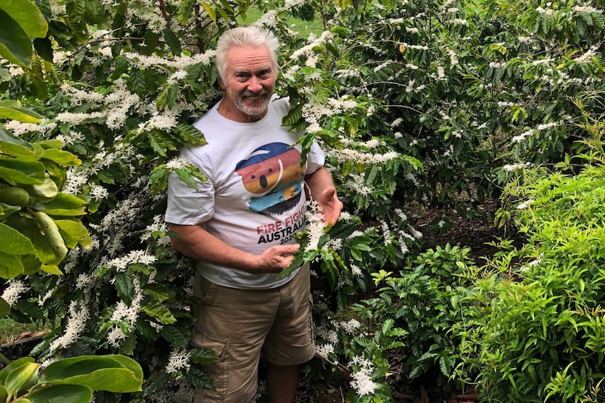 Coffee berry farmer, Tibor Pinci