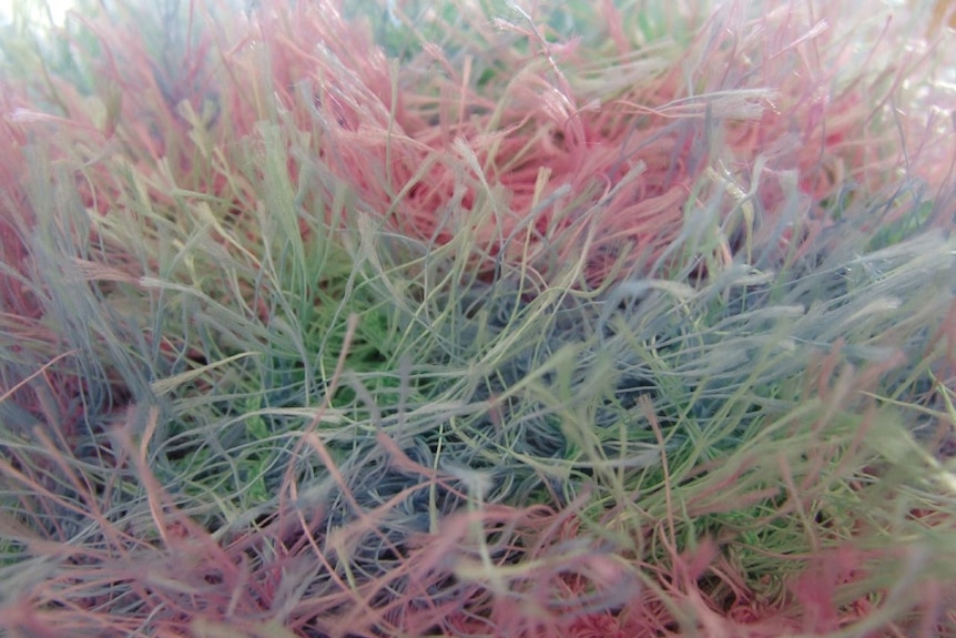 Close-up of a fluffy, pastel polyester scarf.