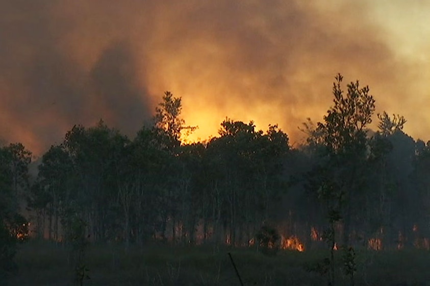 Flames from bushfire rages through trees near Biboohra, north of Mareeba in early evening.