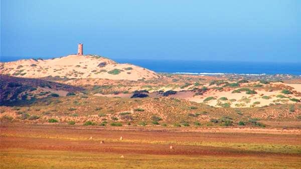 A vista of sand dunes, covered in shrubs, near the sea.