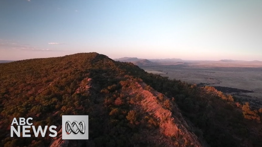 Scientists document Flinders Ranges fossils with hopes of a world heritage listing
