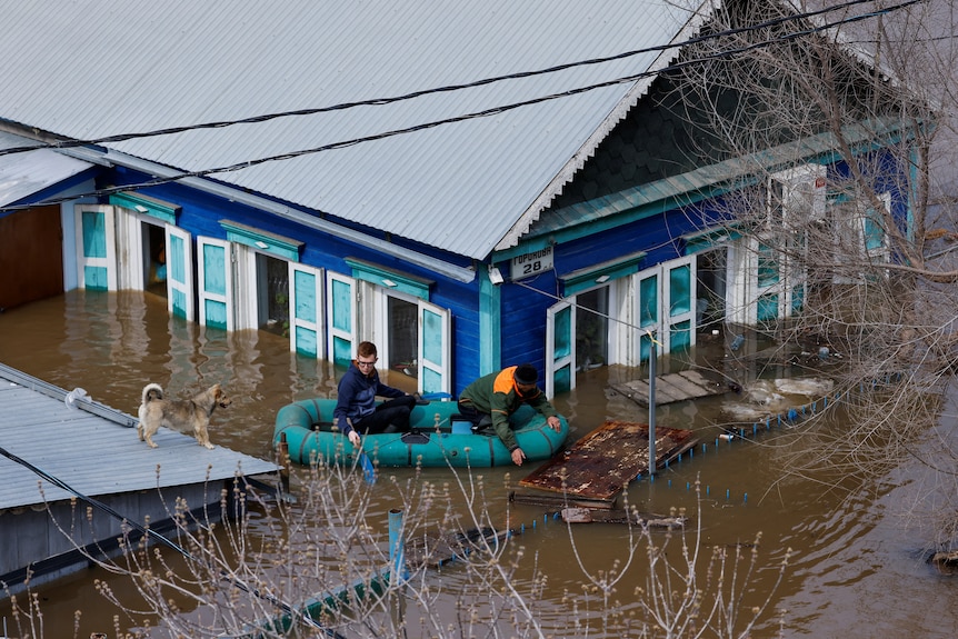 Two men are pictured in an inflatable boat floating next to a flooded house. On the roof is a dog. 