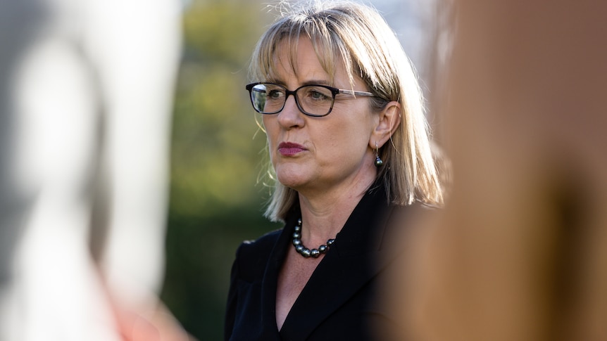 Deputy Premier of Victoria Jacinta Allan speaks to media during a press conference.