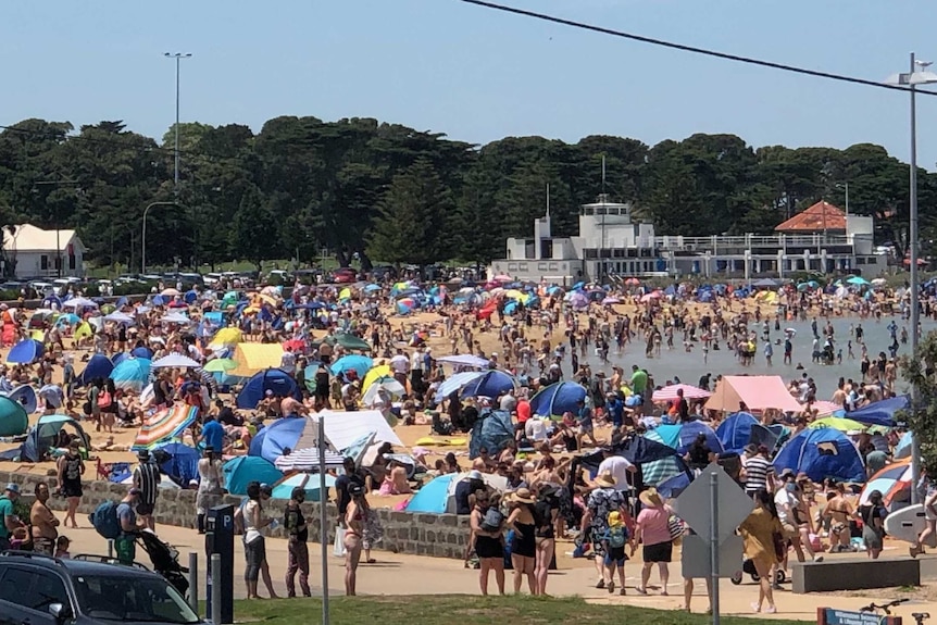 Williamstown Beach is crowded with people on a sunny day.