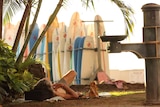 A homeless man reclines behind surfboards on Waikiki Beach, Hawaii