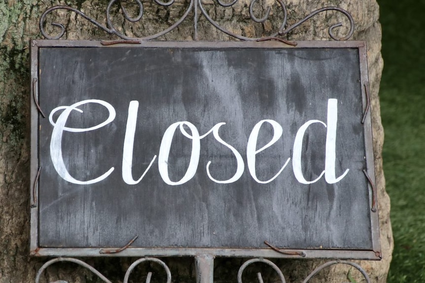 The word 'Closed' is written in chalk on a small blackboard mounted onto a tree trunk.