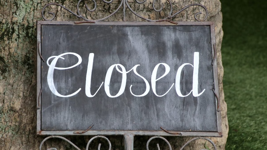 The word 'Closed' is written in chalk on a small blackboard mounted onto a tree trunk.