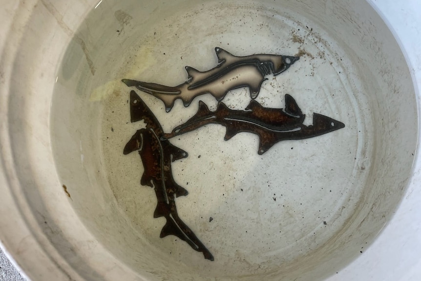 Three small, black cut out shark pieces inside a bucket.