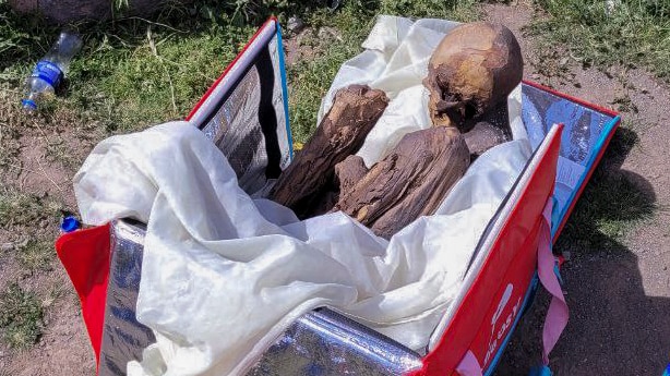 Mummified human remains are visible inside a cooler box