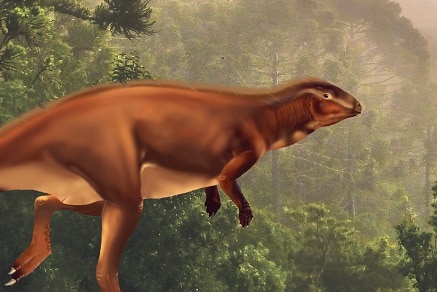A reconstruction of the Early Jurassic Biloela dinosaur.