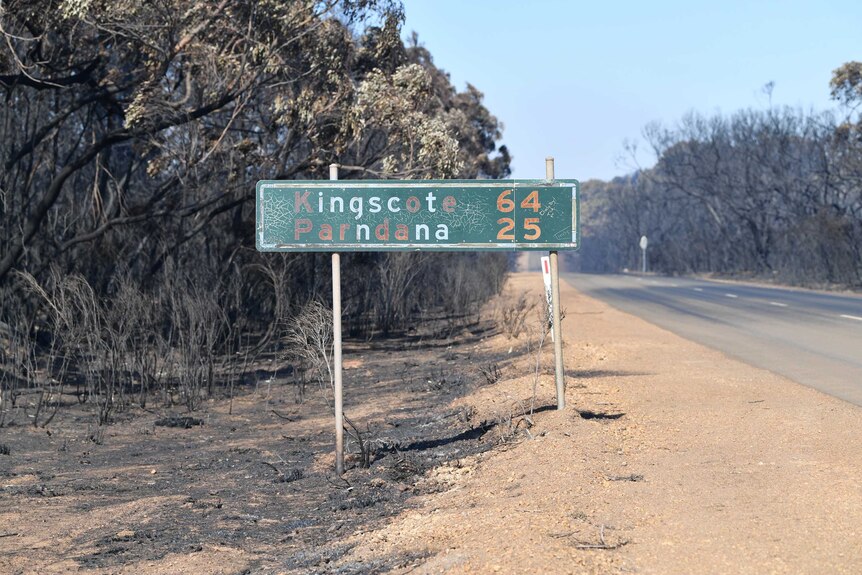A damaged street sign in front of burnt out bush
