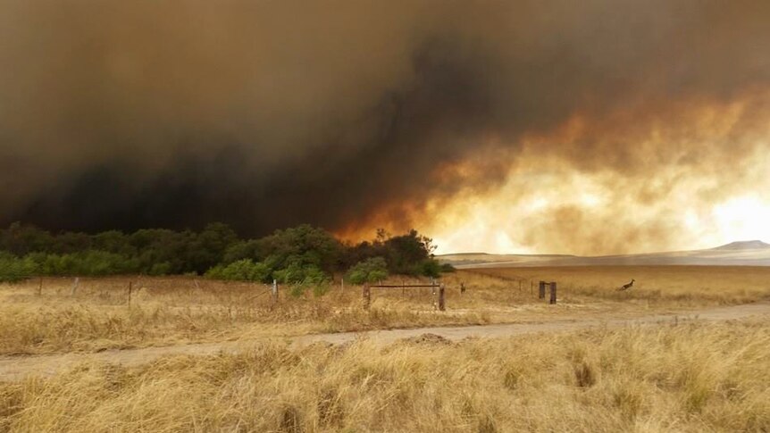 A fire blazes near the Mid West town of Eneabba