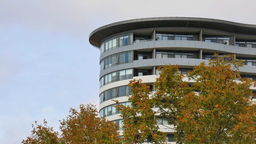 The top of an apartment building, with a tree showing autumn colours.