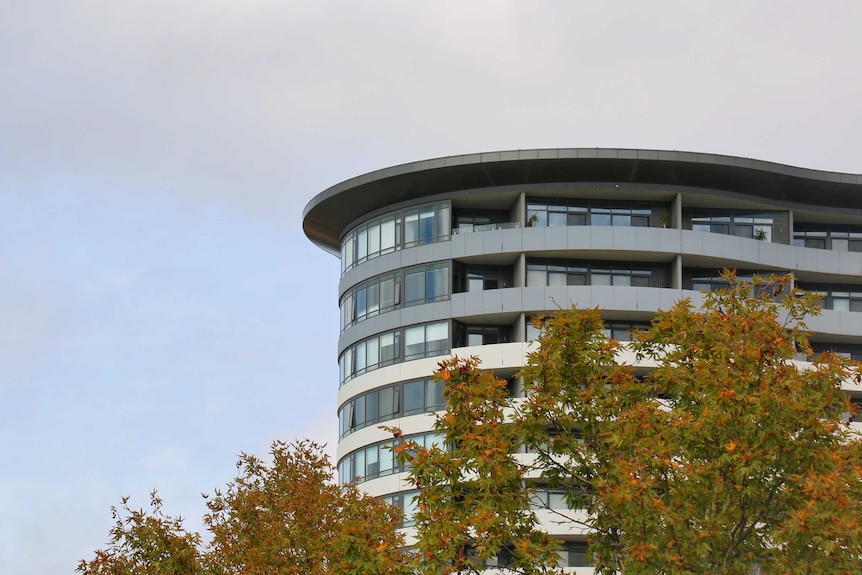 The top of an apartment building, with a tree showing autumn colours.
