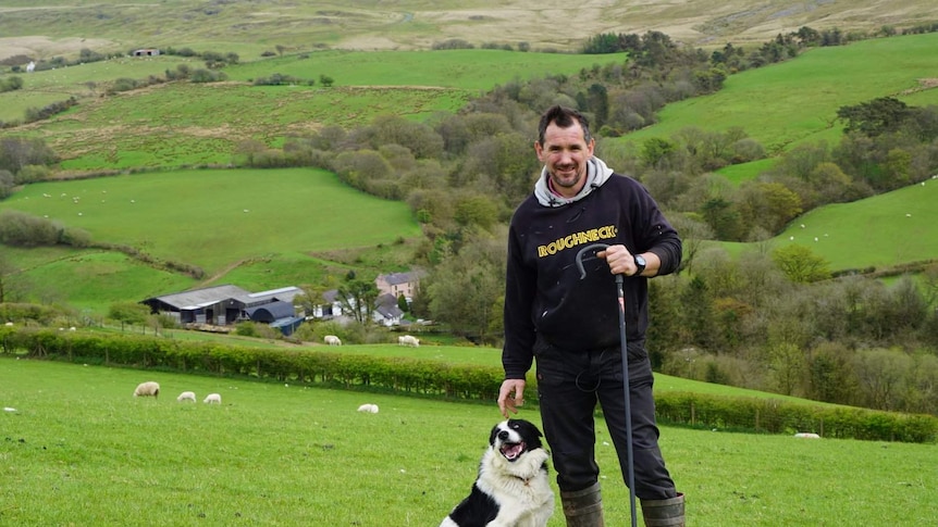 Welsh hill farmer Garry Williams with a dog and holding a shepherds cane while sheep graze on green hills in the background.