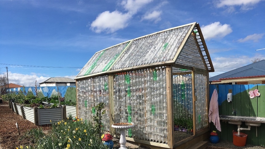 The recycled bottle greenhouse at Youngtown Primary school