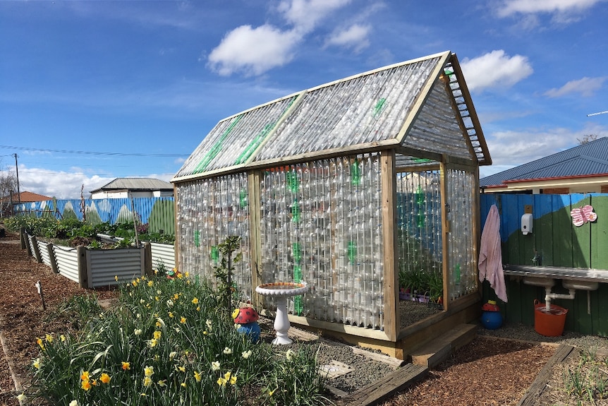 The recycled bottle greenhouse at Youngtown Primary school