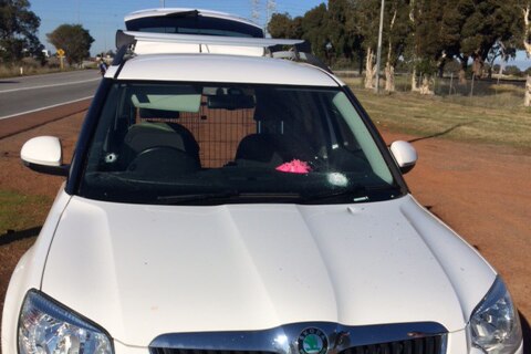 White SUV shows bullet marks on windscreen and bonnet