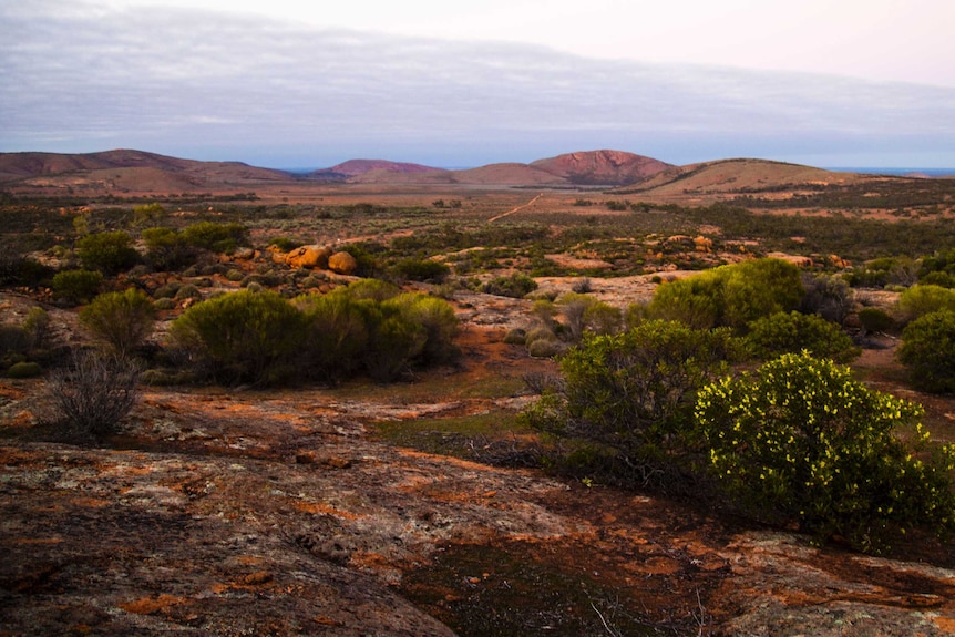 A view of sunrise against a low land hill. Orange dirt and Green flora.