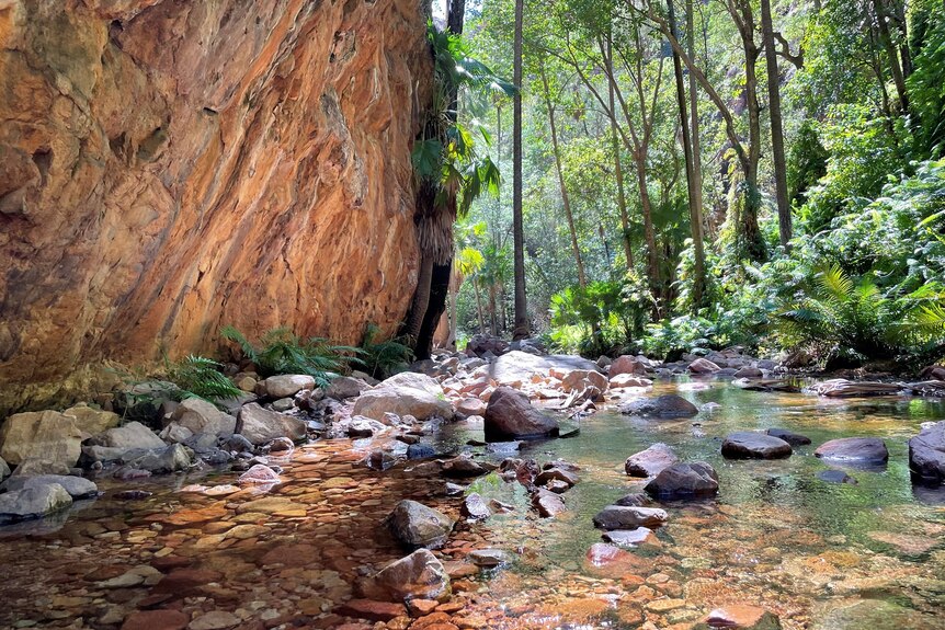 A clear creek cuts next to an orange sandstone cliff and lush trees and shrubs