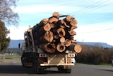 Under the scheme, contractors were eligible for up to $3 million in return for leaving the forest industry for 10 years.