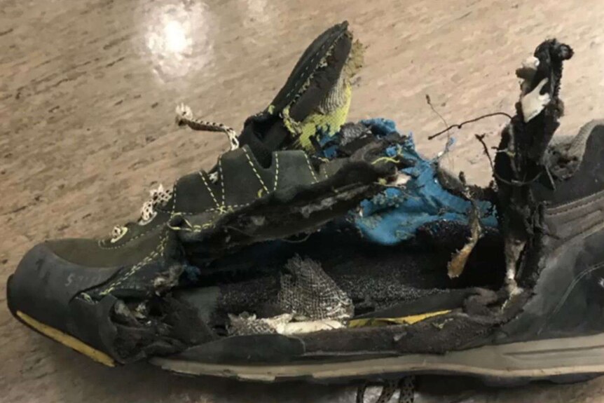 A huge hole is burned into the side of a hiking trainer