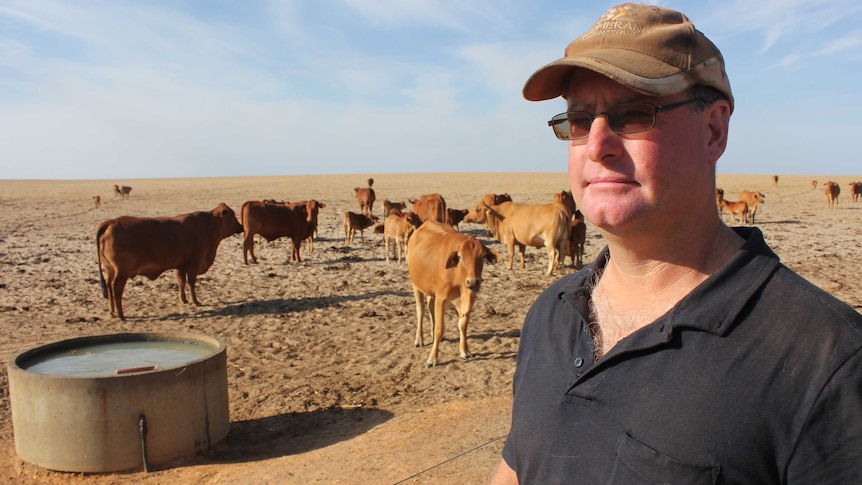 Dunn Rock farmer Doug Giles stands near a water trough with cattle in the background.