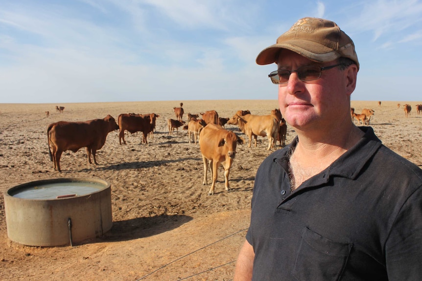 Dunn Rock farmer Doug Giles stands near a water trough with cattle in the background.