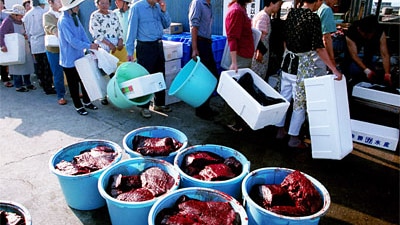 People queue to purchase whale meat after whales were gutted at a fishing port July 10, 2001 at the port of Chiba Prefecture ...