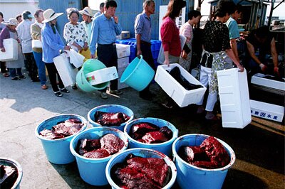 People queue to purchase whale meat after whales were gutted at a fishing port July 10, 2001 at the port of Chiba Prefecture ...