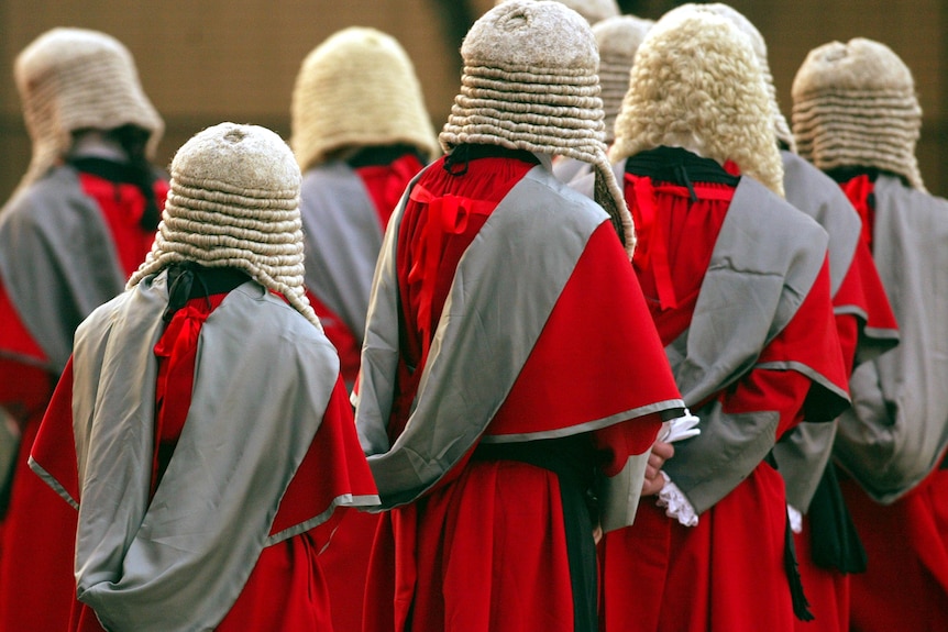 judges face away from the carmera wearing wigs and red robes with grey sashes.