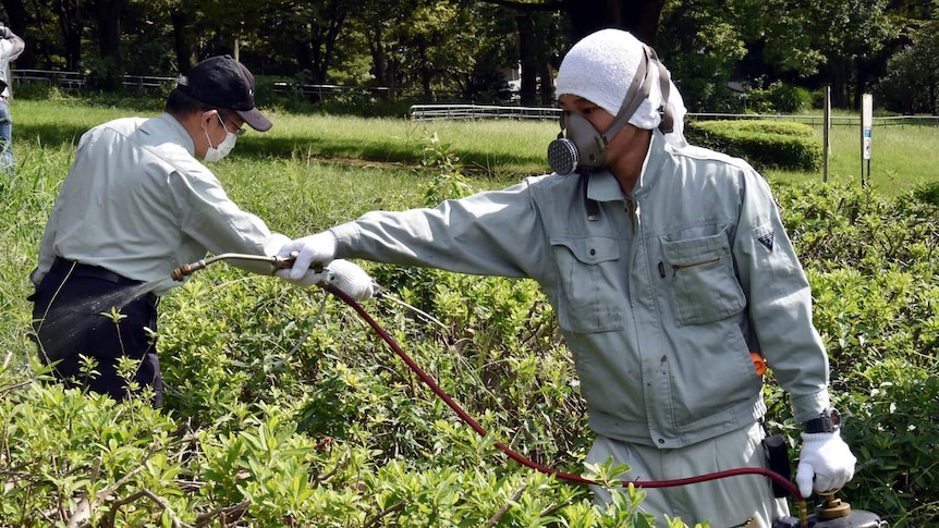 Dengue outbreak hits Tokyo's Yoyogi park