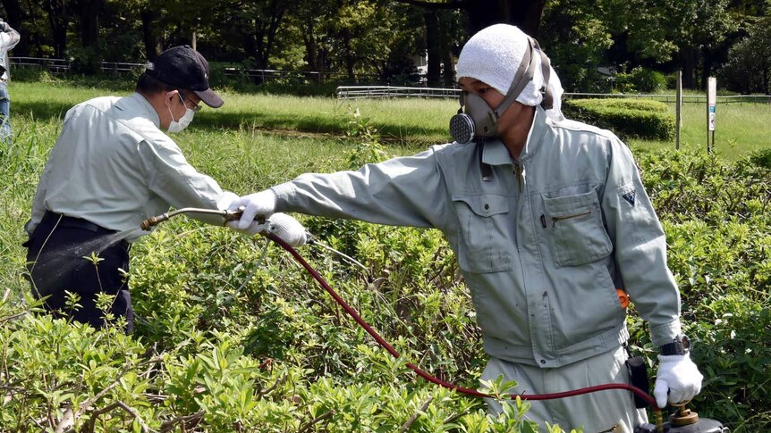 Dengue outbreak hits Tokyo's Yoyogi park