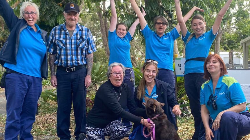 A group of people, most in RSPCA uniform of blue shirts, and a brown kelpie.
