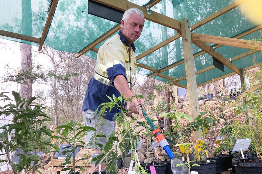 David Higgins watering his plants that have suffered from heat and wind.